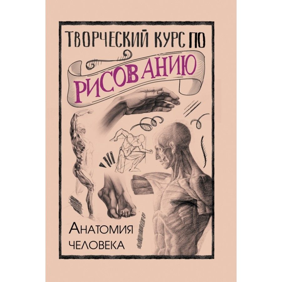 Артбук. Творческий курс по рисованию. Анатомия человека. М.Грей