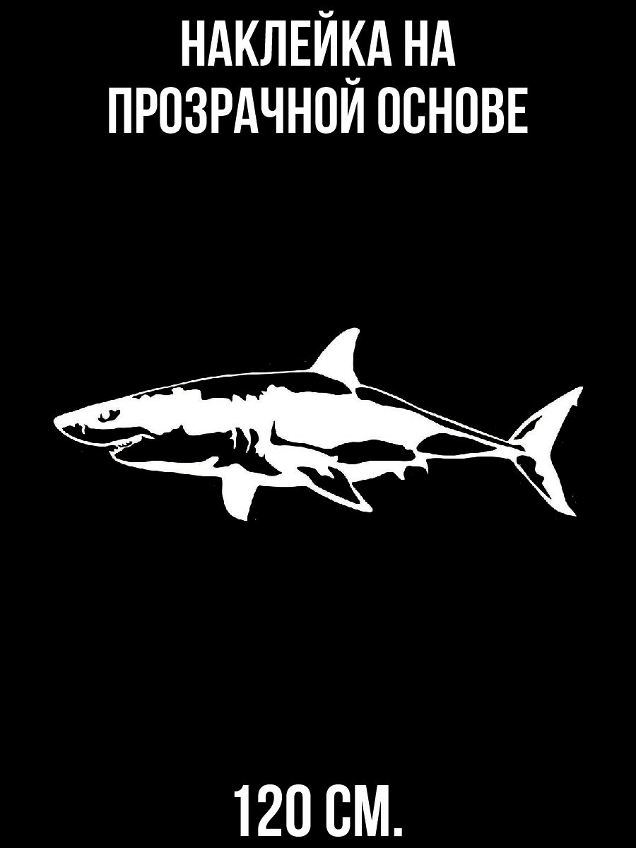 Наклейка акулы на машину. Виниловая наклейка акула. Наклейка на авто "акула". Виды акул. Наклейка в виде акулы на авто.