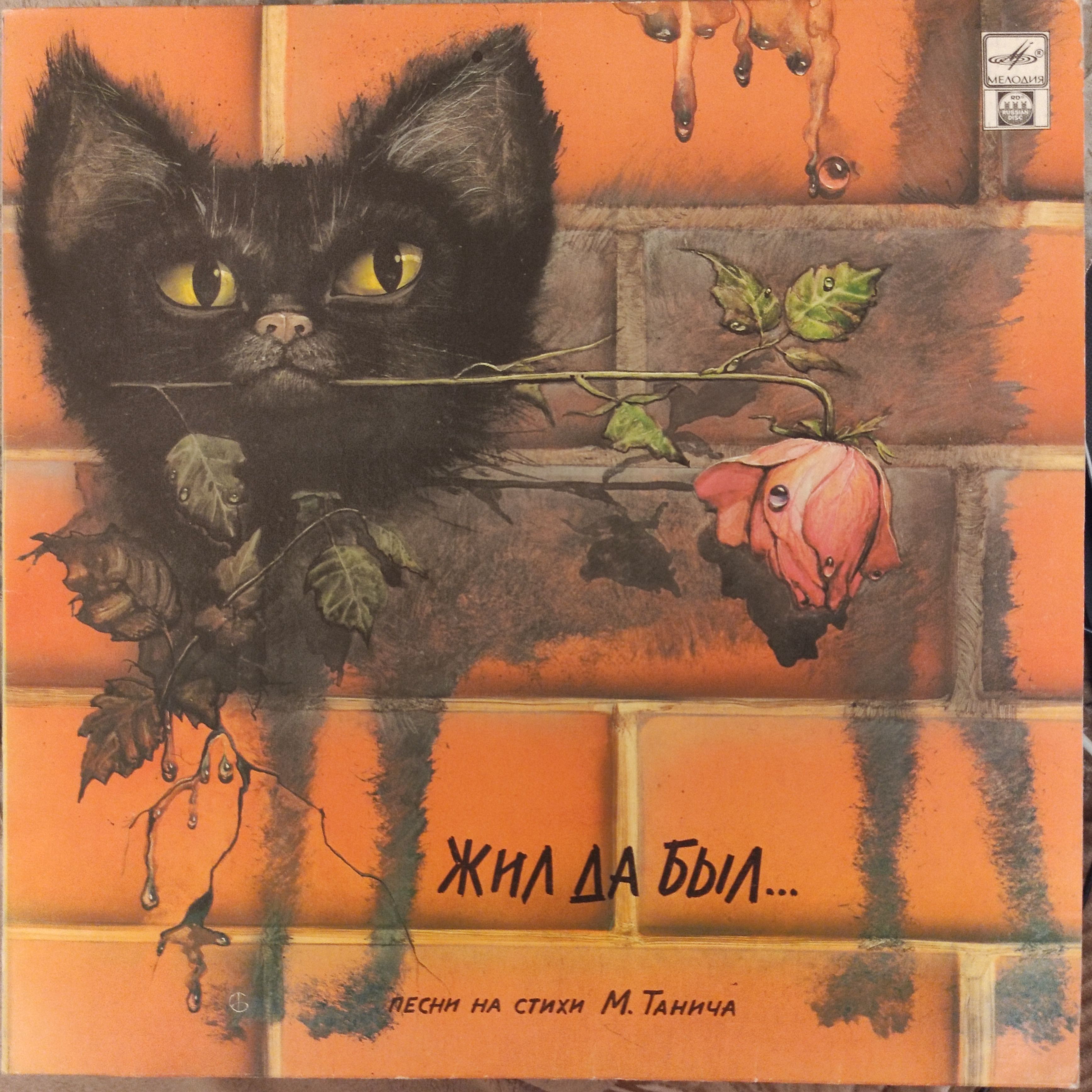 Текст песни жил да был черный. Чёрный кот Браво. Танич черный кот. Жил был черный кот. Чёрный кот стихи Михаила Танича.
