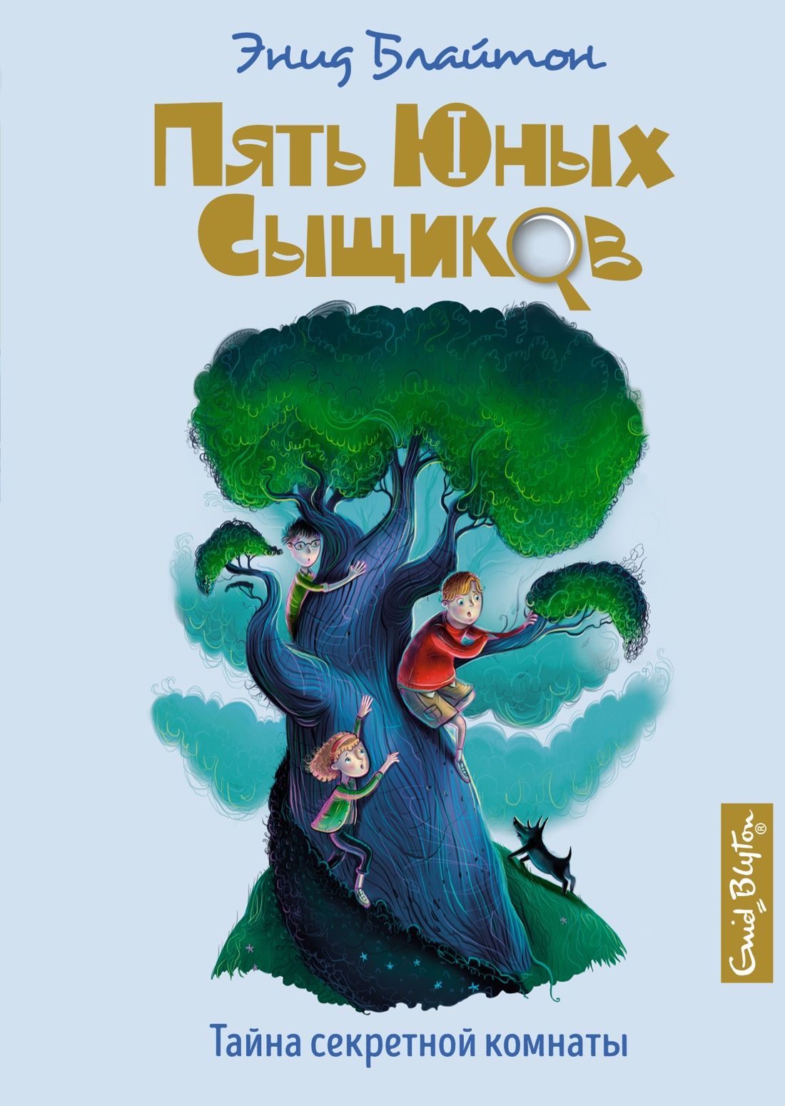 Тайна секретной комнаты | Блайтон Энид - купить с доставкой по выгодным  ценам в интернет-магазине OZON (602064883)