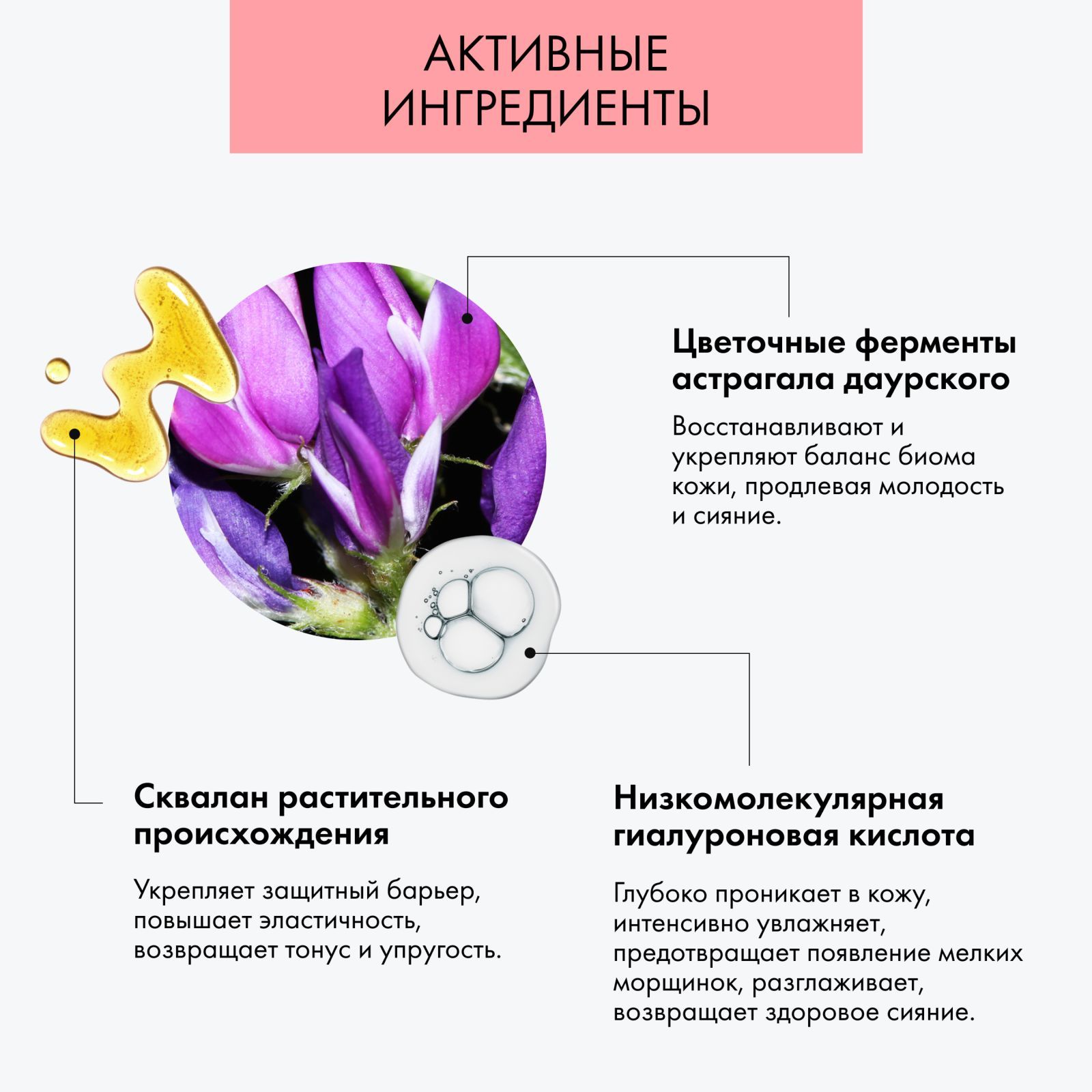 Лаб биом натура. Лаб биом натура