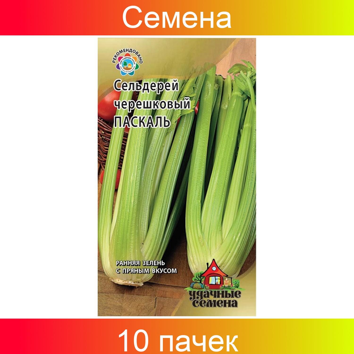 Сельдерей Удачные семена 946439 - купить по выгодным ценам винтернет-магазине OZON (840239747)