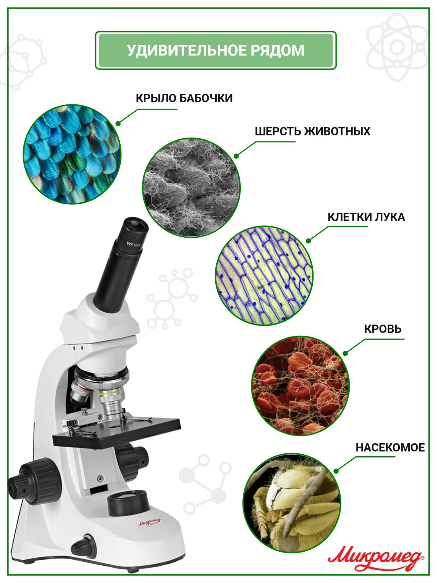 Микроскоп Микромед С 11 Купить Авито