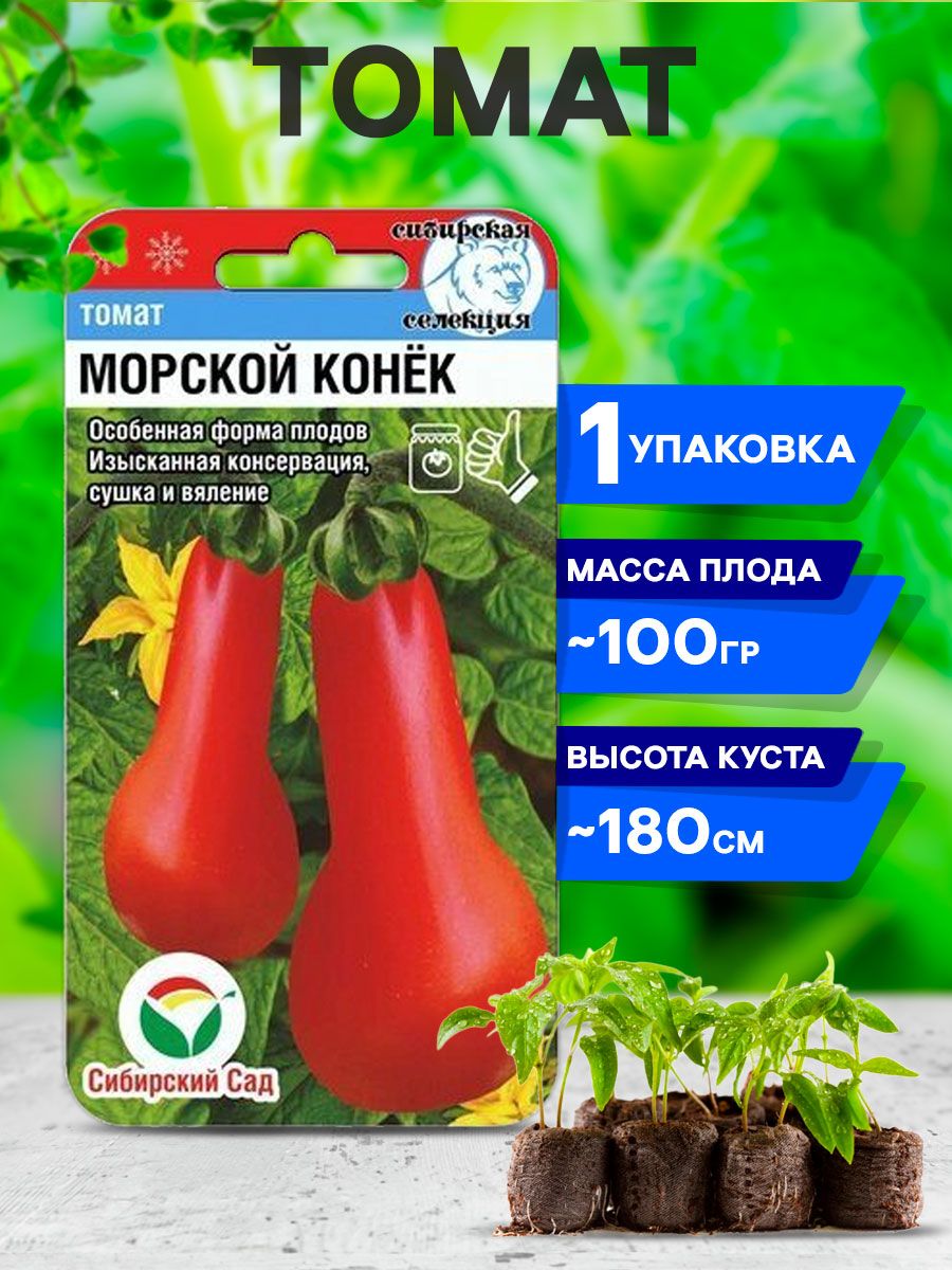 Сиб сад (шт. Томат морской конек сибирский сад. Томат морской конек описание сорта. Томат морской конек. Томат морской конек сибирский сад.
