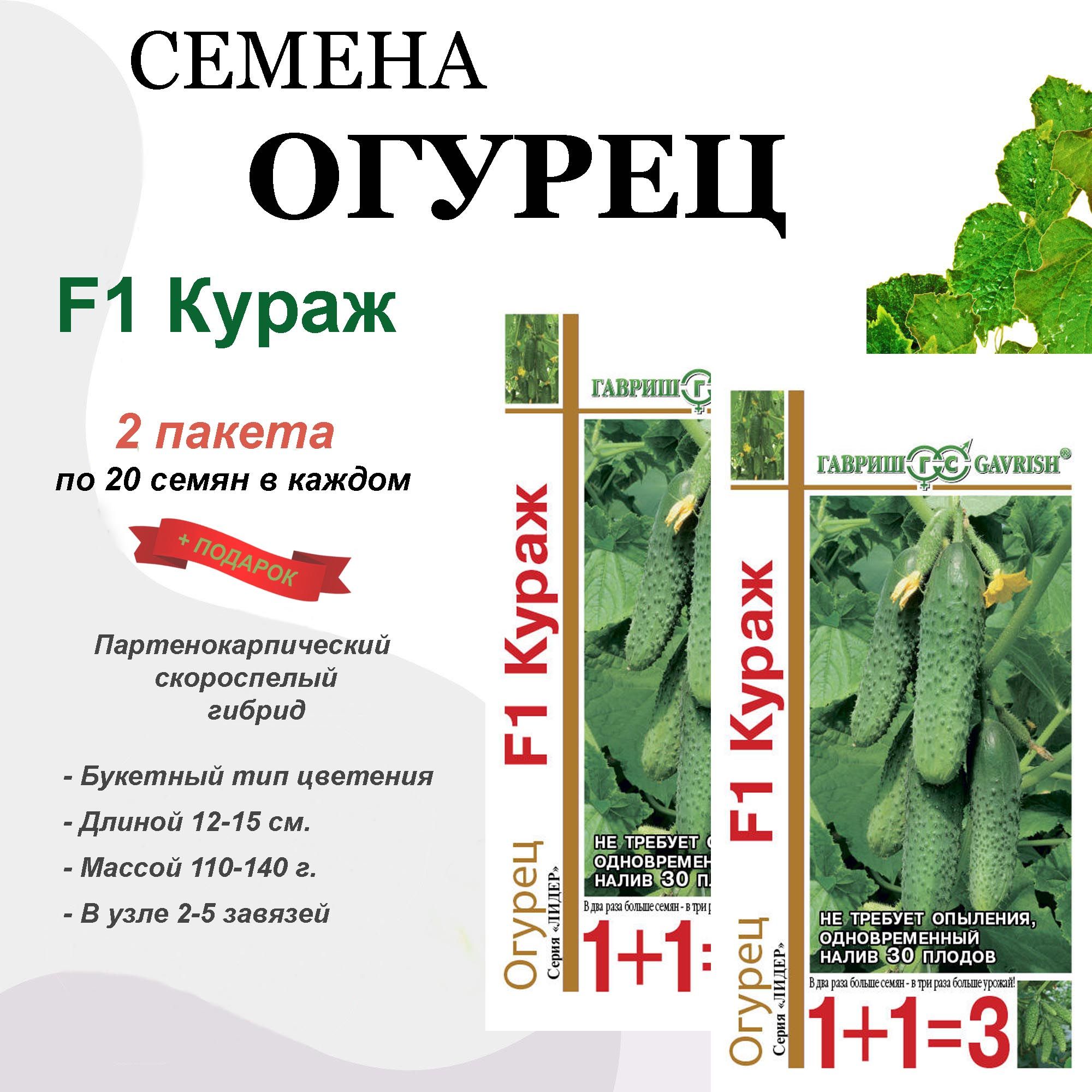 Кураж Огурцы Купить Семена