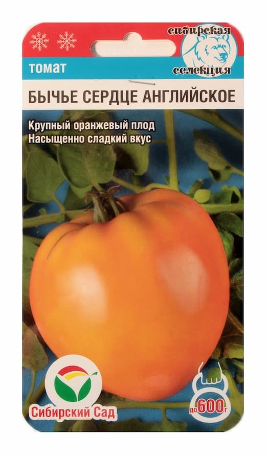 Томат бычье сердце отзывы фото урожайность