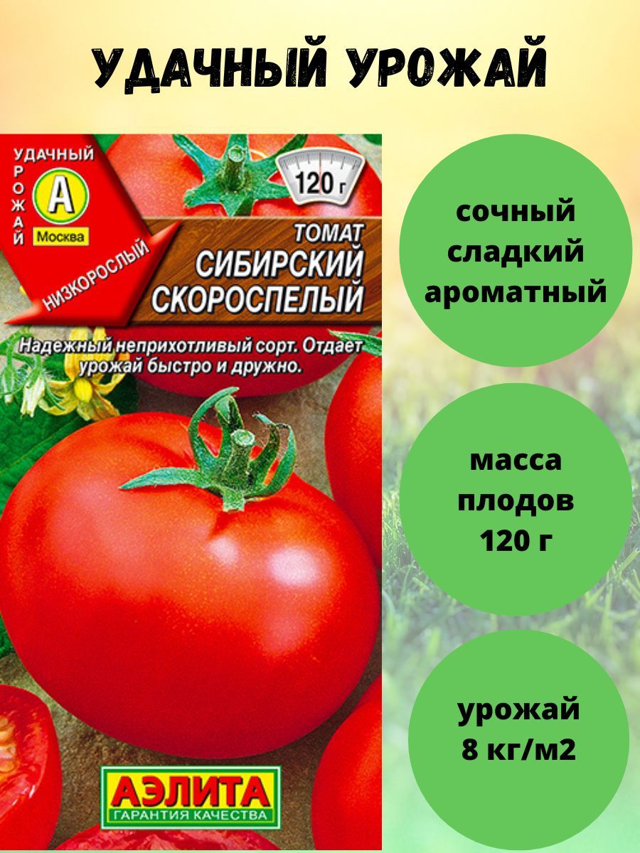 Сорт Томатов Сибирский Скороспелый Отзывы Фото
