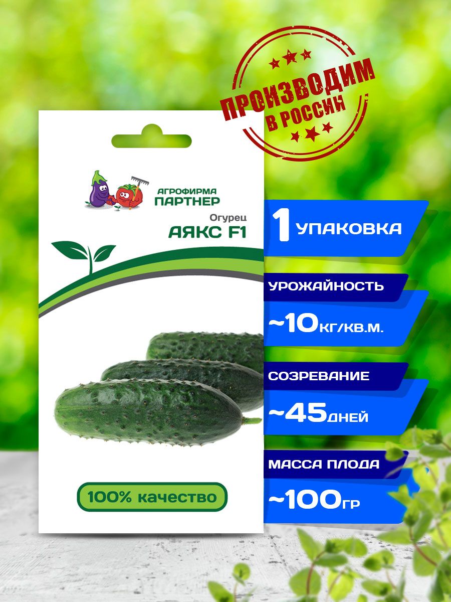 Огурец Аякс Семена Купить