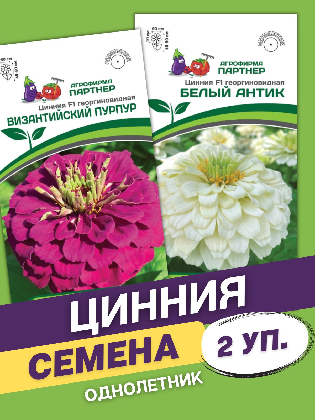 Цинния барышня крестьянка. Фирма партнер семена цинии. Фирма партнер семена цинии. Цинния белый антик партнер. Цинния махровая малиновый щербет.