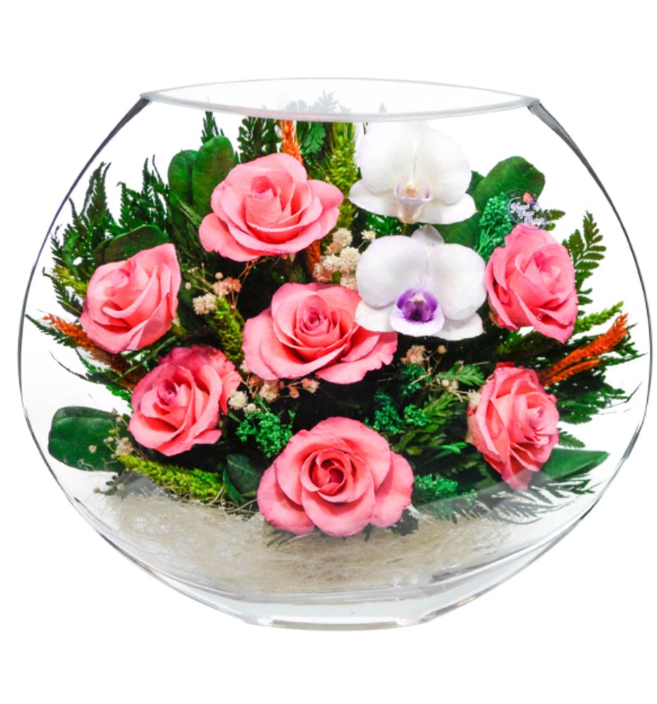 Цветы В Вакууме Купить Оптом