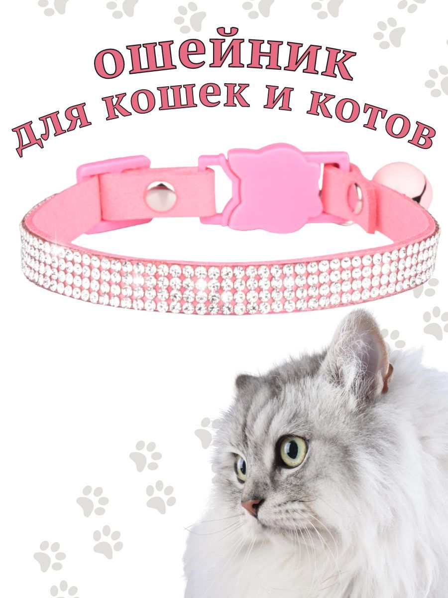 Ошейник для собак, кошек, кроликов, 15 цветов | AliExpress