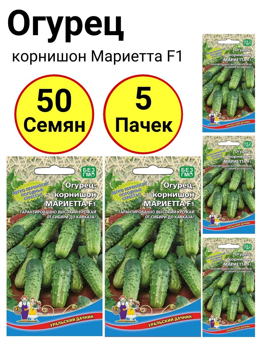 Семена Огурцы Уральский Дачник Купить