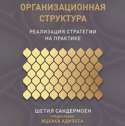 Организационная структура | Сандермоен Шетил | Электронная аудиокнига