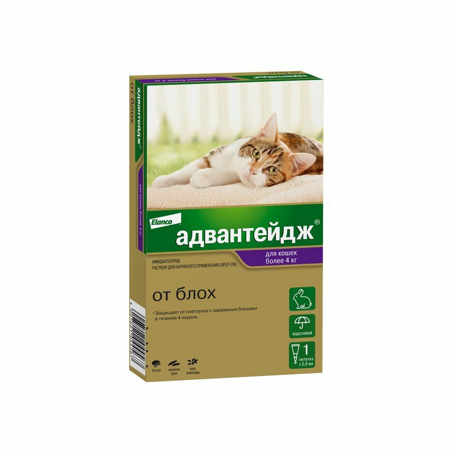 Капли от блох bayer адвантейдж. Капли на холку кошке адвантейдж. Капли на холку кошке адвантейдж. Капли от клещей и блох для кошек адвантикс. Адвантейдж капли на холку для котят и кошек до 4кг 1 пипетка.