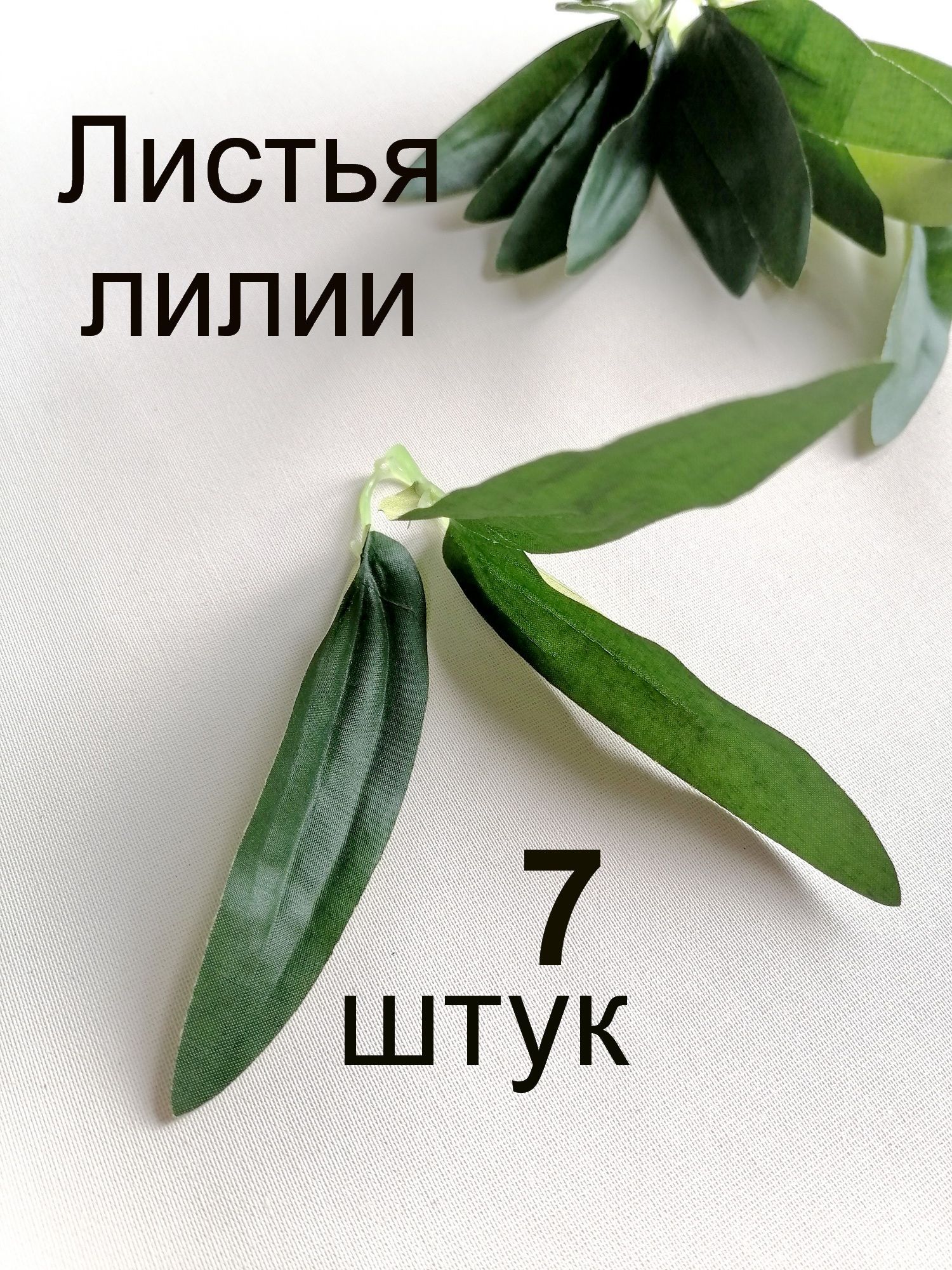 Листья лилии