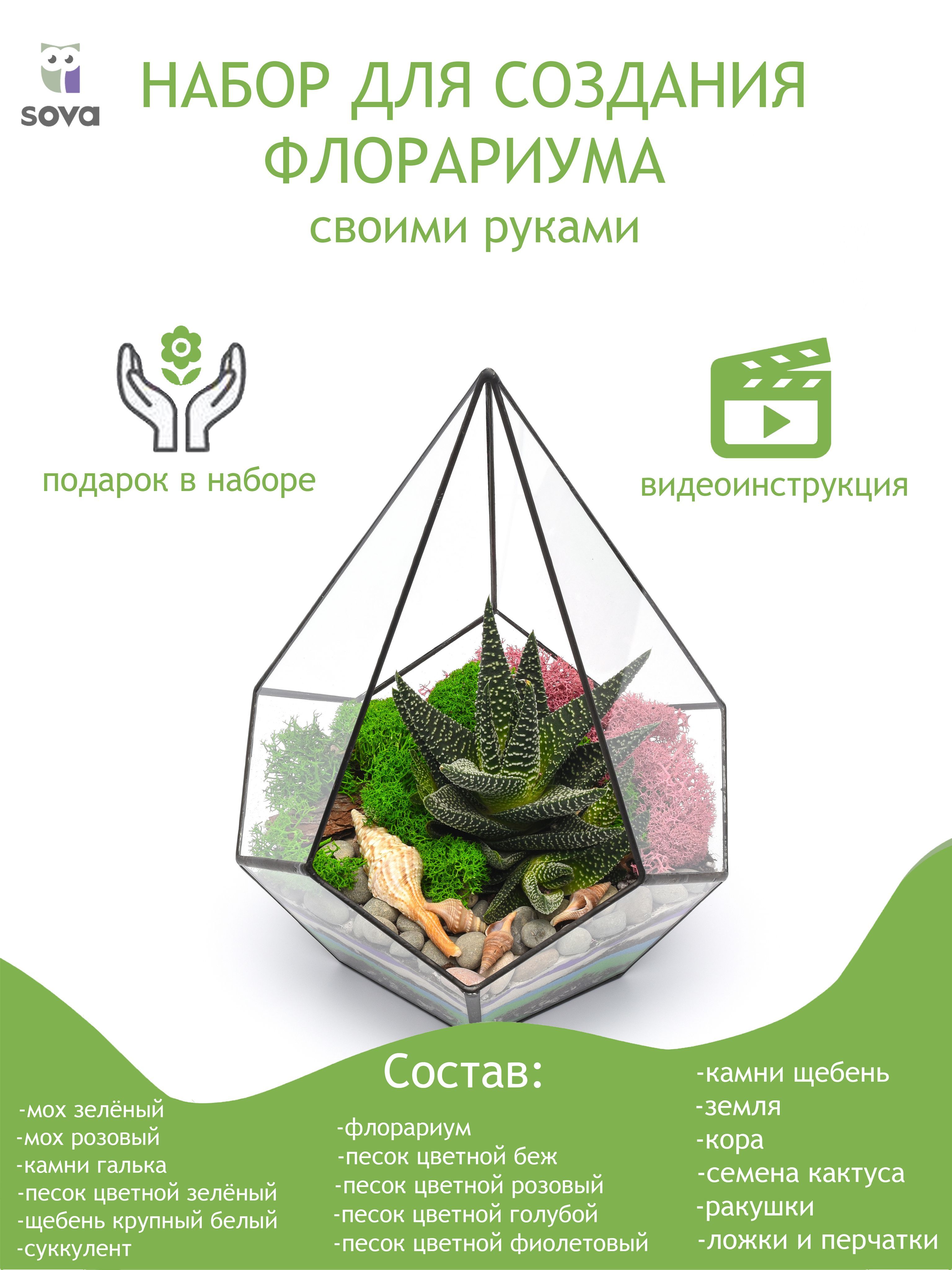 SovamarketВазадляфлорариума,14шт