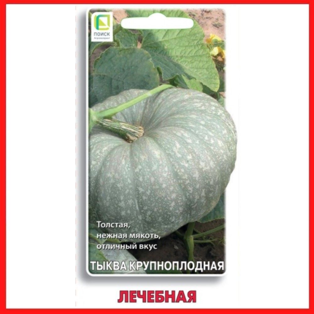 Тыква сорт лечебная. Maxima). Тыква сорт лечебная. Столовый сорт тыквы. Тыква сорта целебная (с.