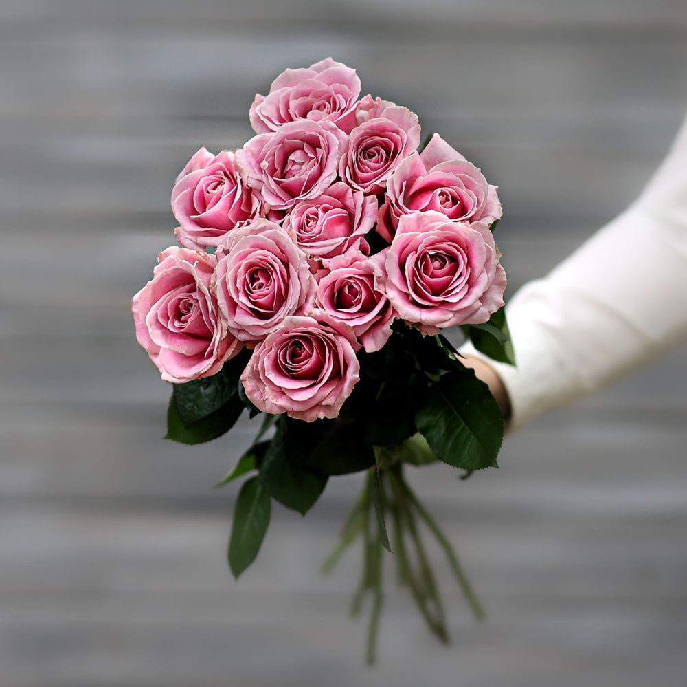 Малиновые розы. Дружба и розы. Малиновые розы с лентой. Розовые корзины из малиновых роз роз.