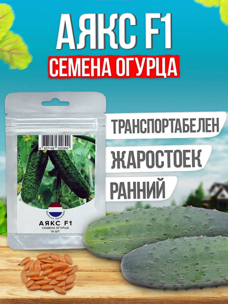 Огурцы Аякс Отзывы Фото