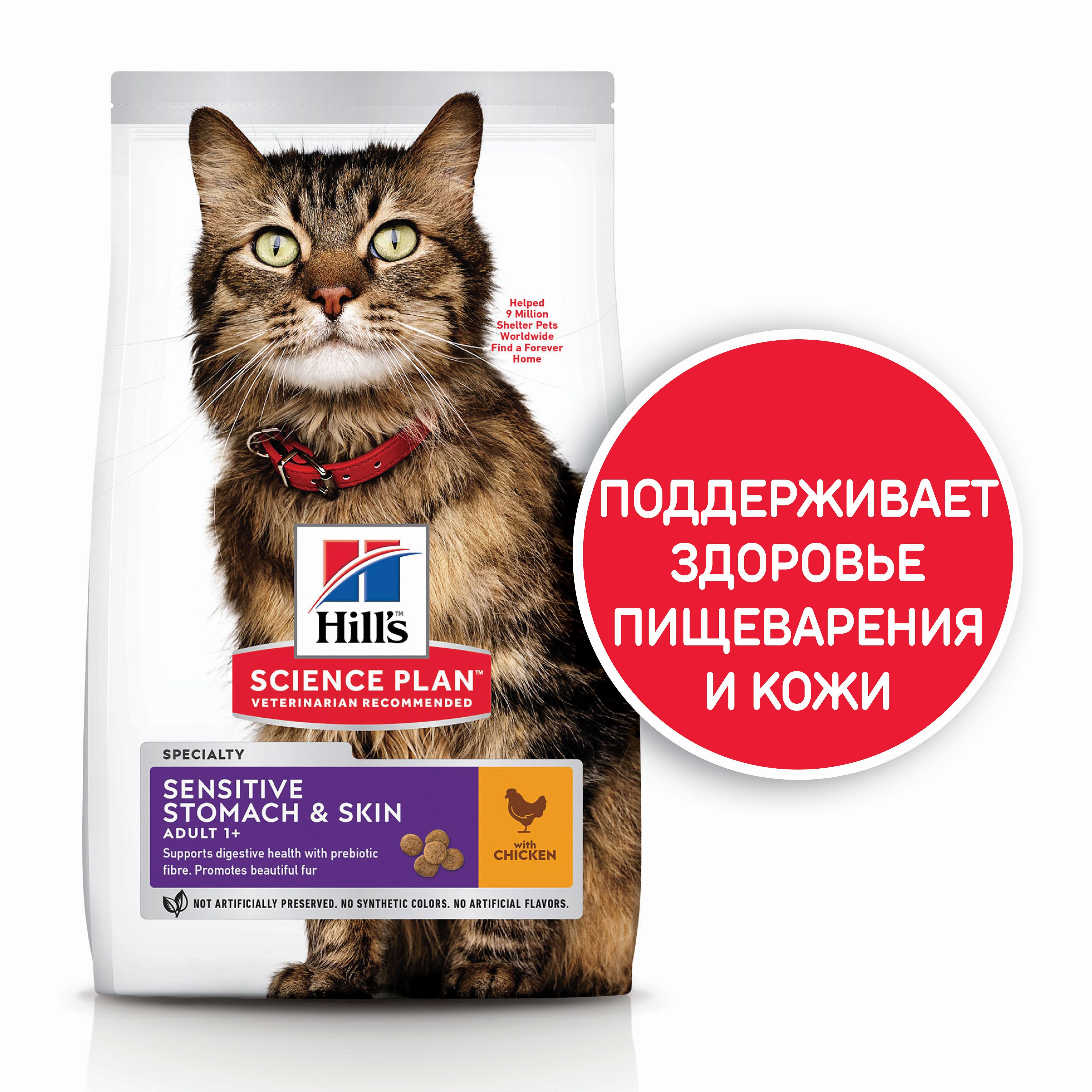 Огненный скин. Hill's science plan для собак мелких пород. Hills stomach skin для кошек. Скины майнкрафт. Психо гёрл майнкрафт.