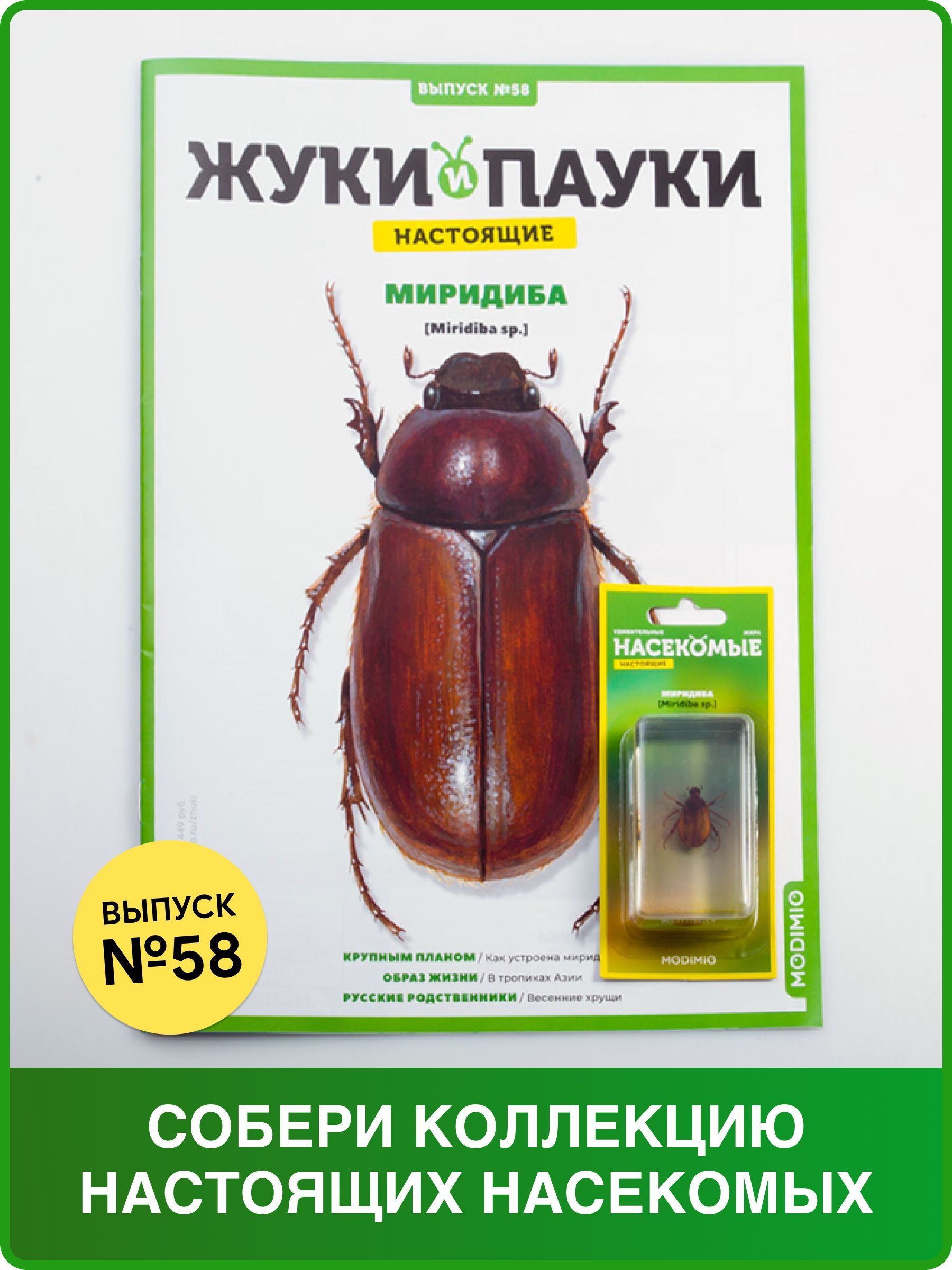 Жуки и пауки, Выпуск №58, Миридиба - купить с доставкой по выгодным ценам в  интернет-магазине OZON (798772922)