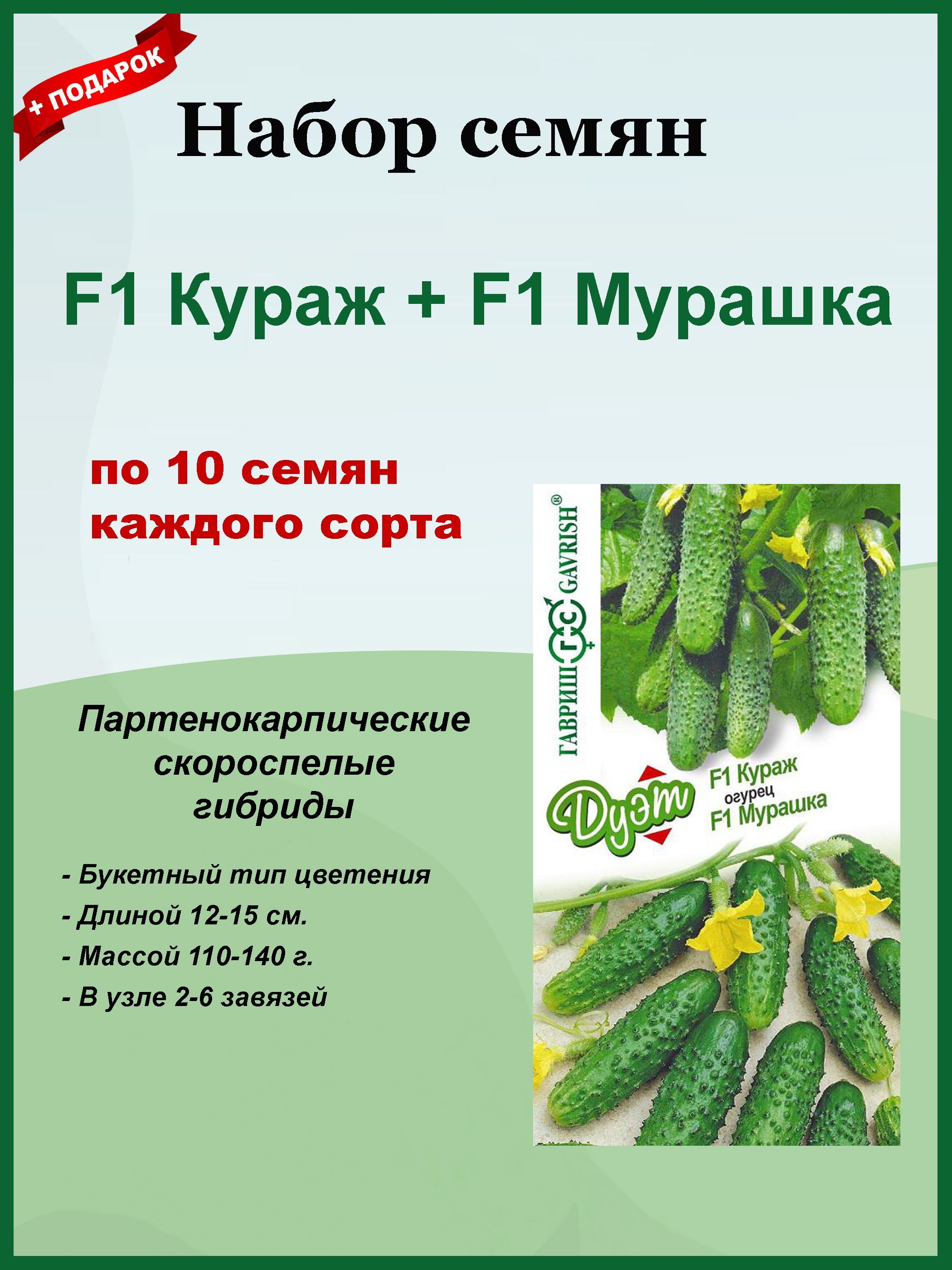 Кураж Огурцы Купить Семена