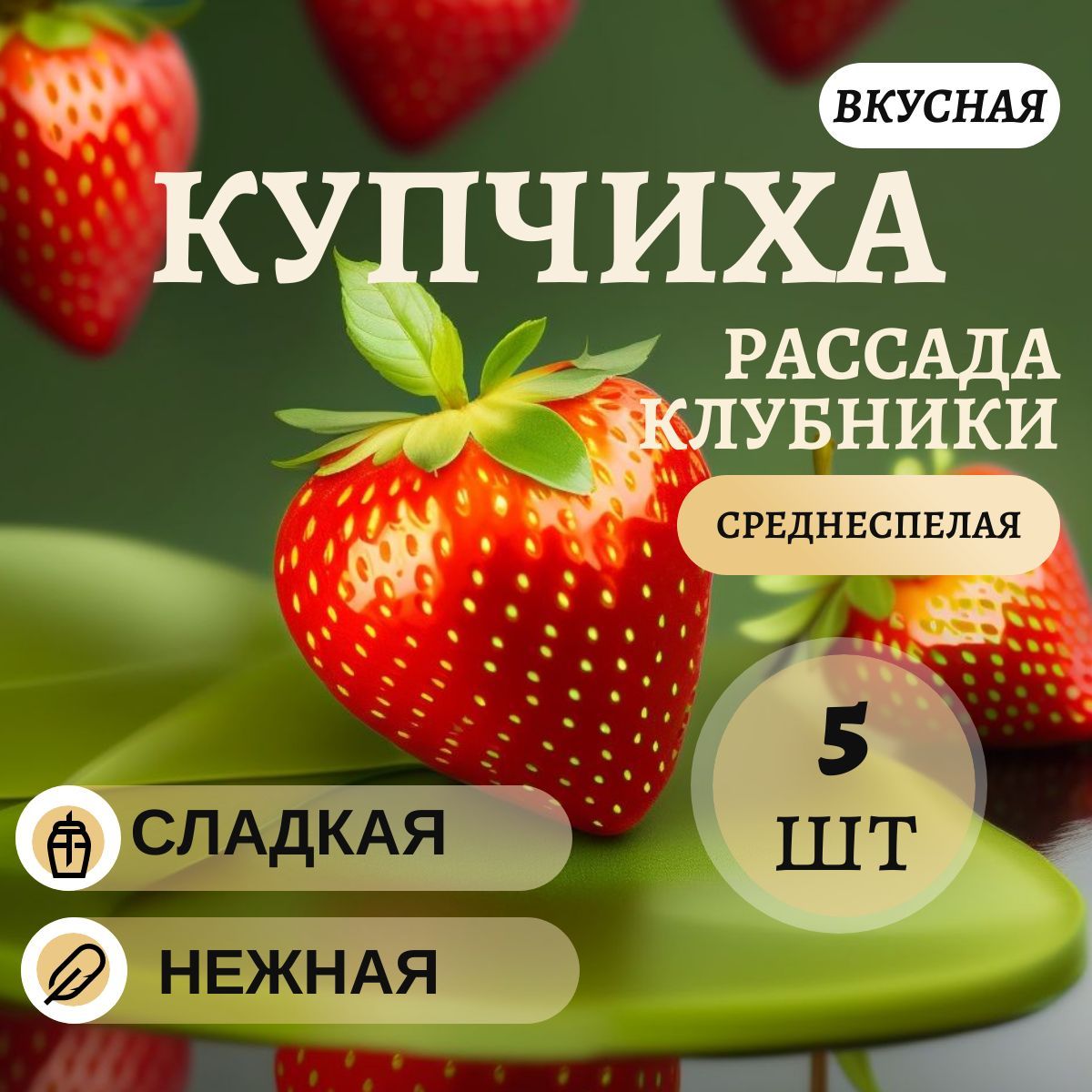 Описание Клубники Купчиха Фото Отзывы