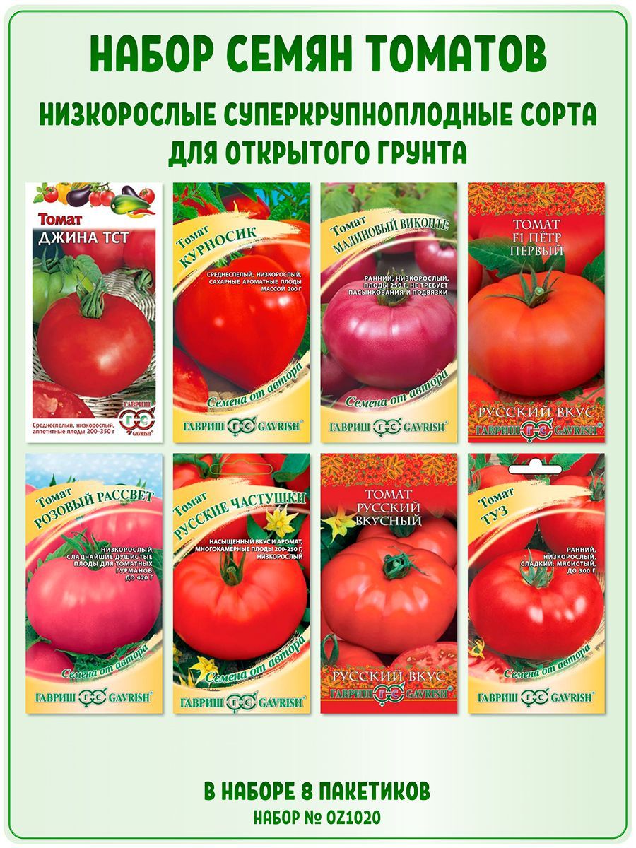 Исследование крупных низкорослых сортов томатов Крупные низкорослые сорта томатов