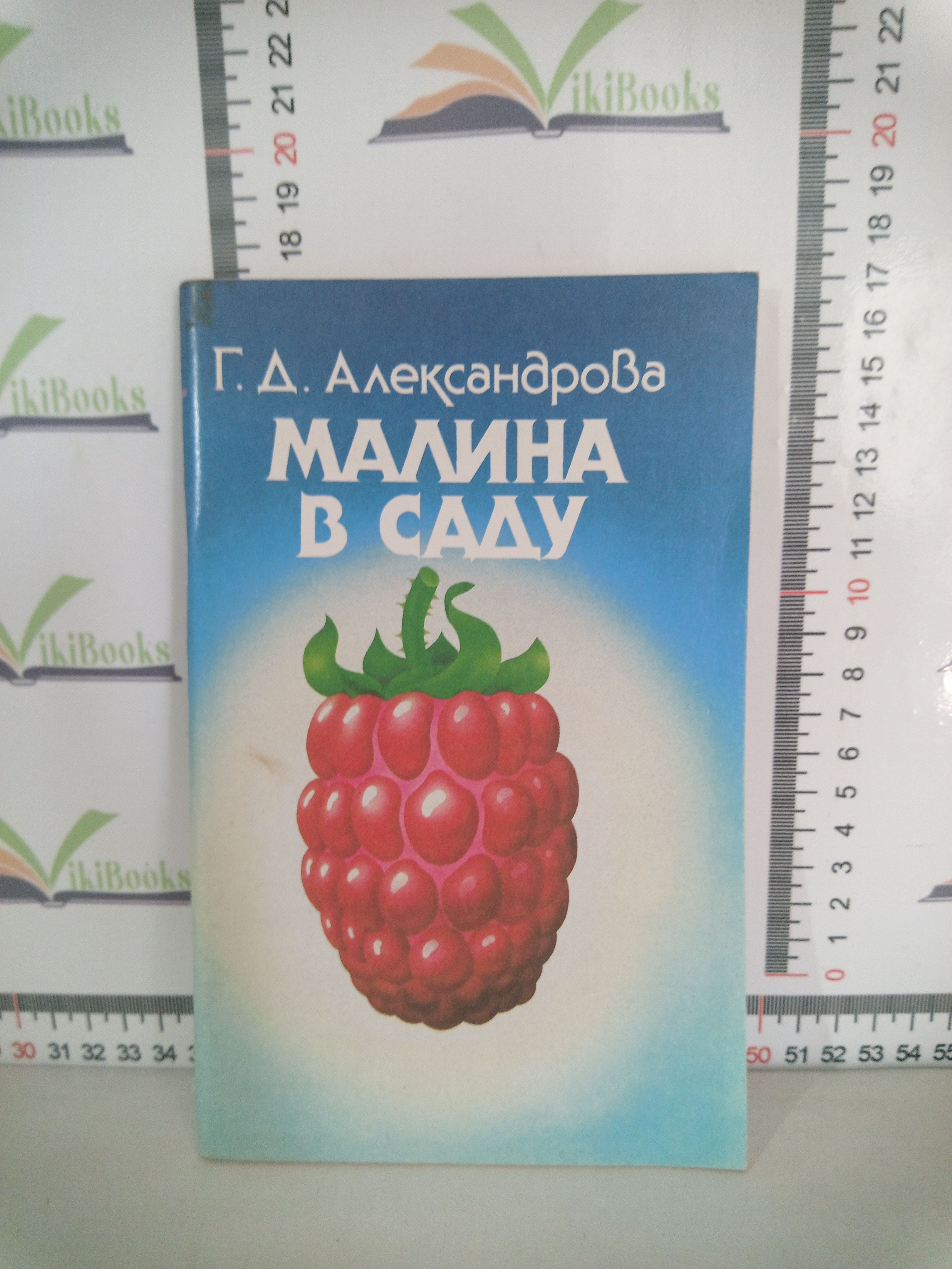 Г. Д. Александрова / Малина в саду | Александрова Г. Д.