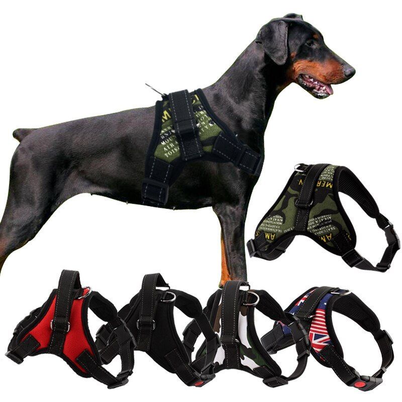 Правильная шлейка для собаки. Rukka Solid harness шлейка 25мм. Шлейка p0034-05-l Pet servant. Шлейка Foxie Dog harness. Шлейки для собак doog Neoflex harness.
