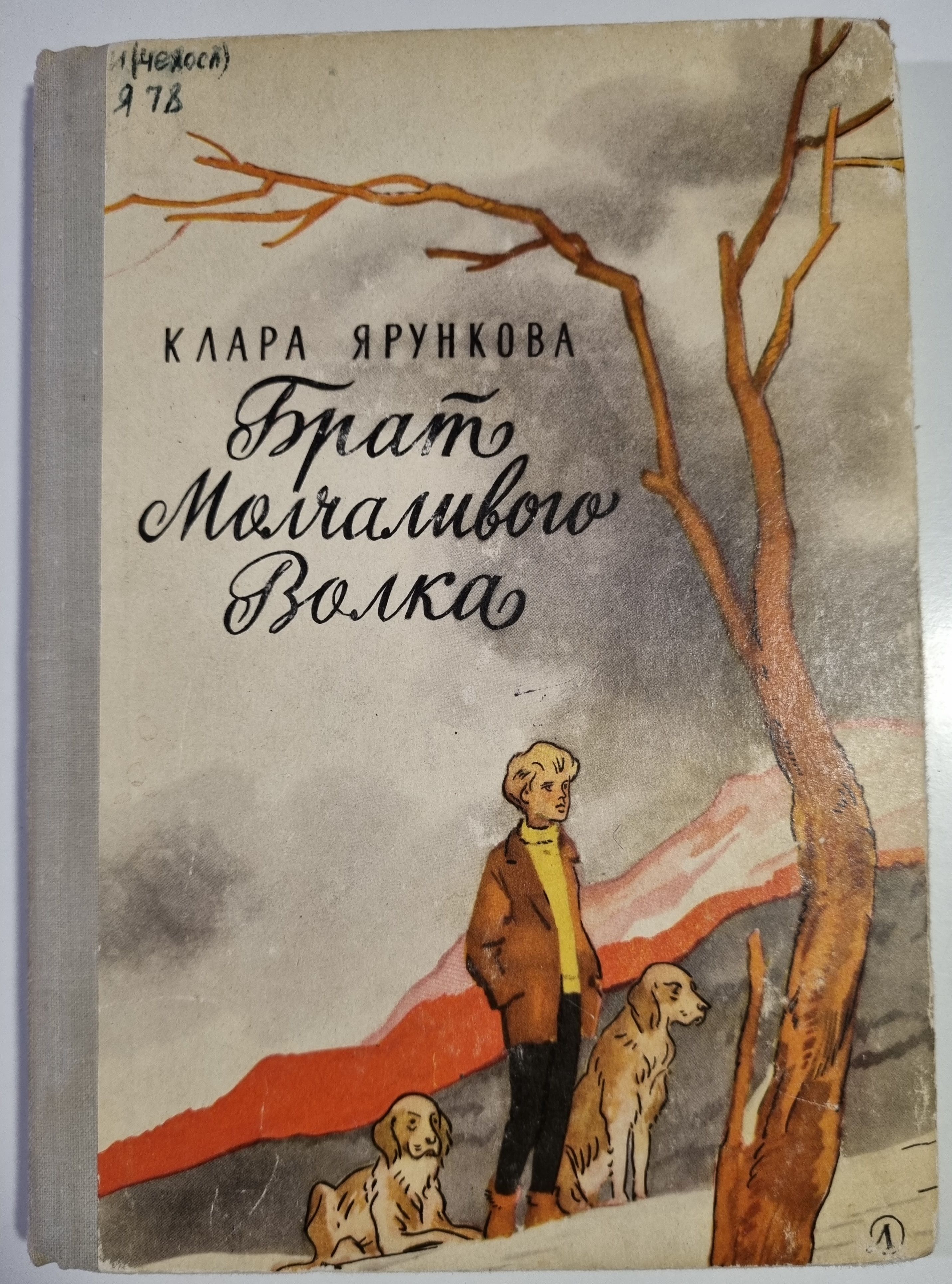 Брат молчит. Молчаливые книги. Молчаливые книги для детей. Ярункова единственная.