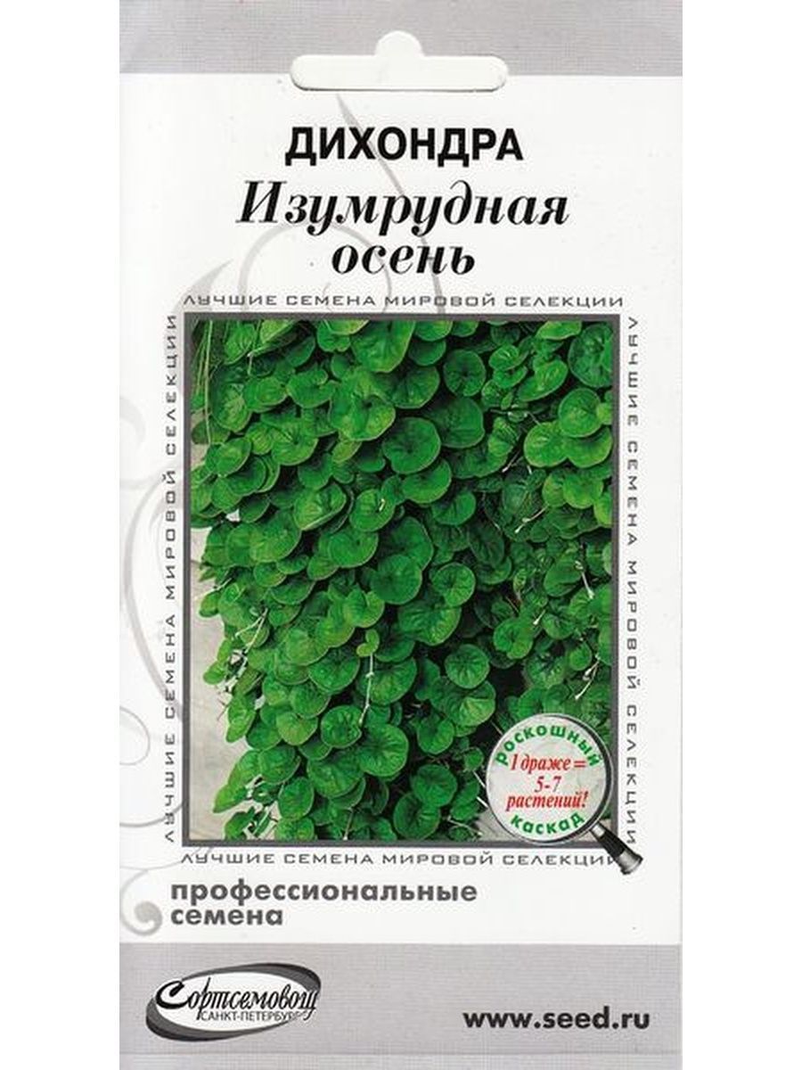 Купить Дихондру В Интернет Магазине Рассаду