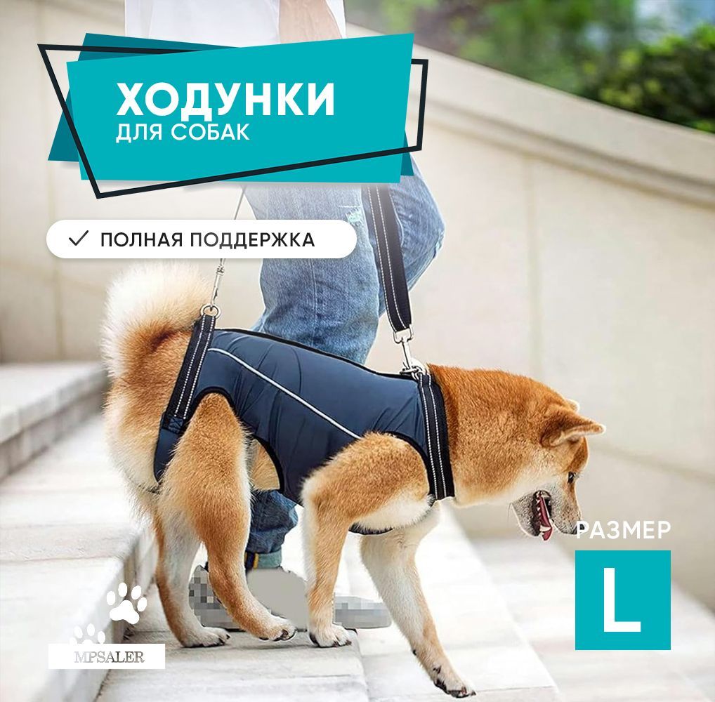 Ходунки для собак