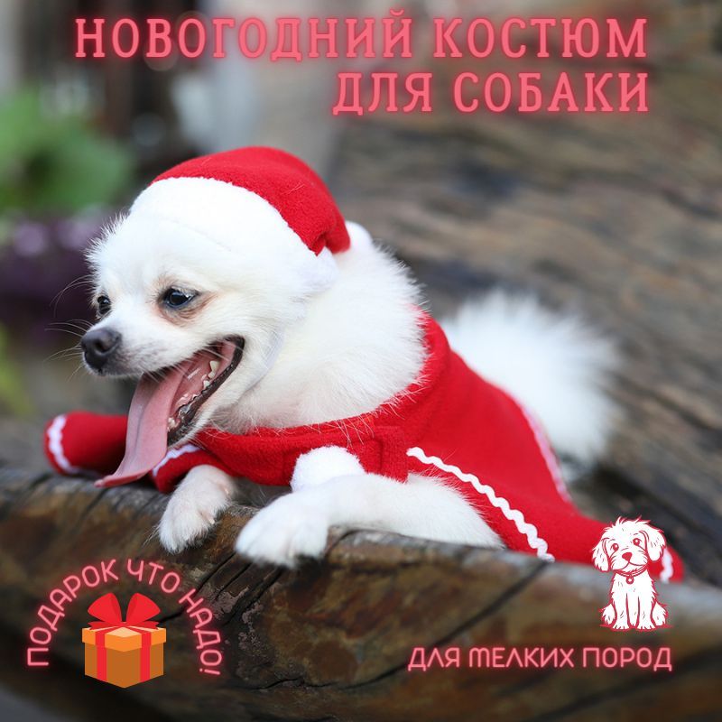 Новогодний костюм для собак/ для кошек/ Накидка, колпак для животных