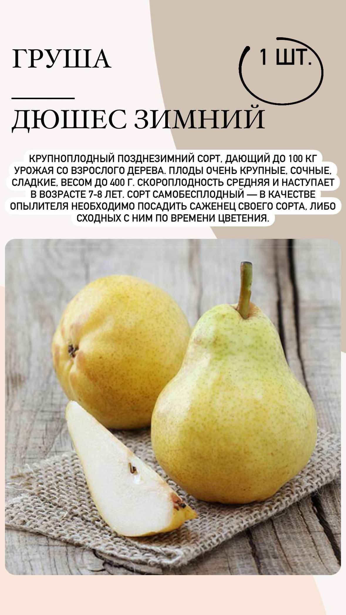 Дюшес Зимний Груша Описание Сорта Фото Отзывы