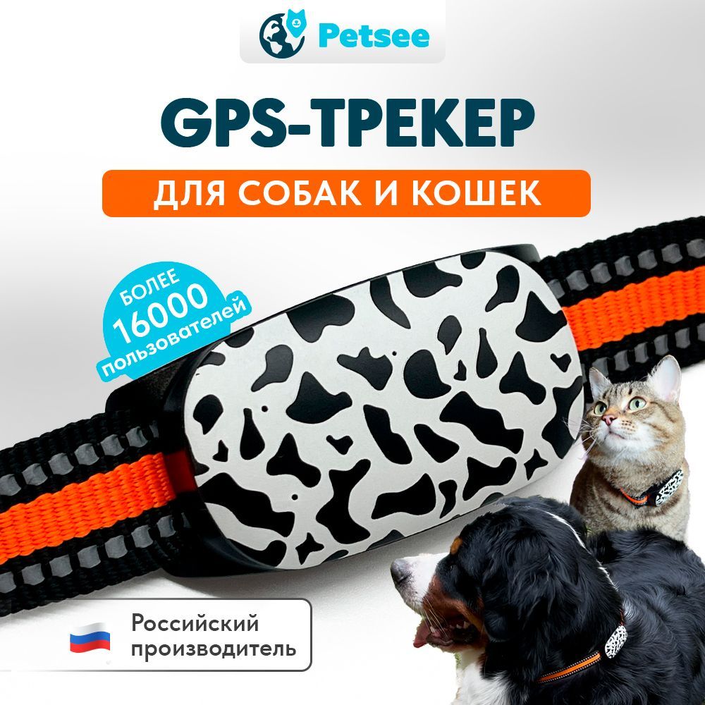 GPS-трекер для питомца Petsee ICaty, с Beidou, GPS, USB купить по выгодной  цене в интернет-магазине OZON (991172720)
