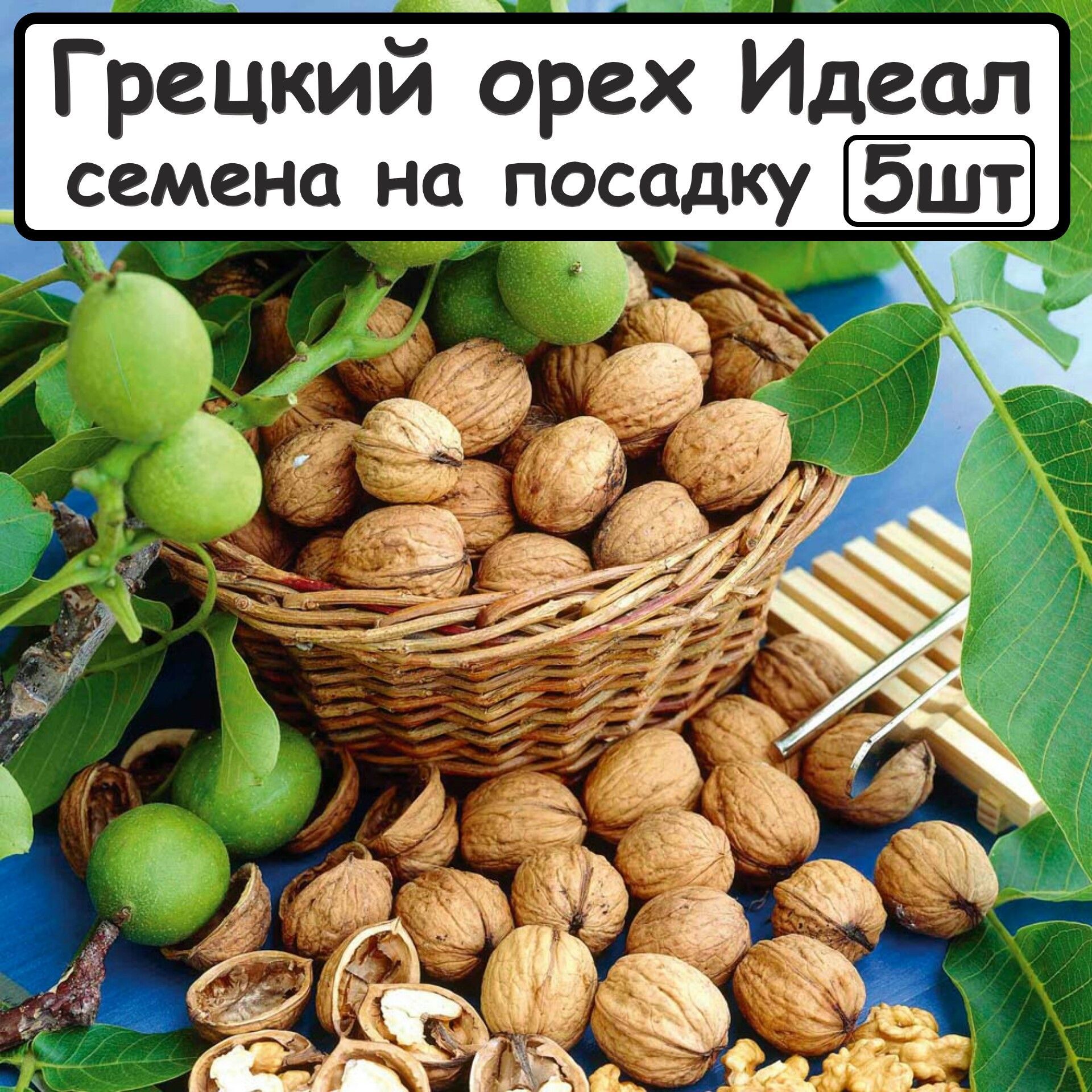 Где купить грецкие орехи