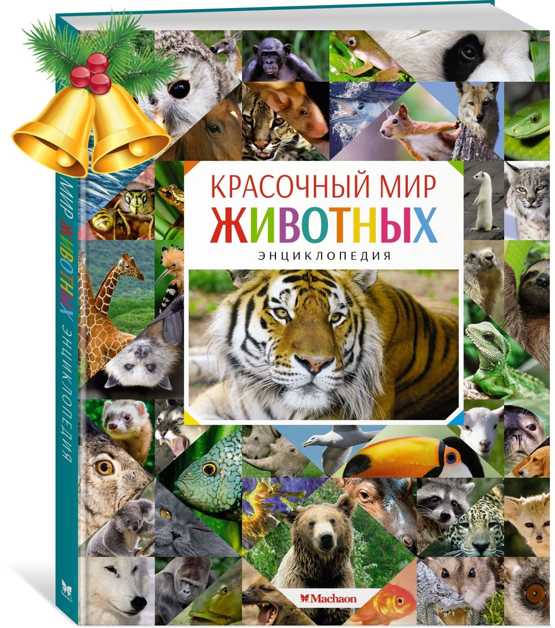 Красочный мир животные книга. Принты. Яркие цвета. Адриан честерман картины. Тропические леса с животными.