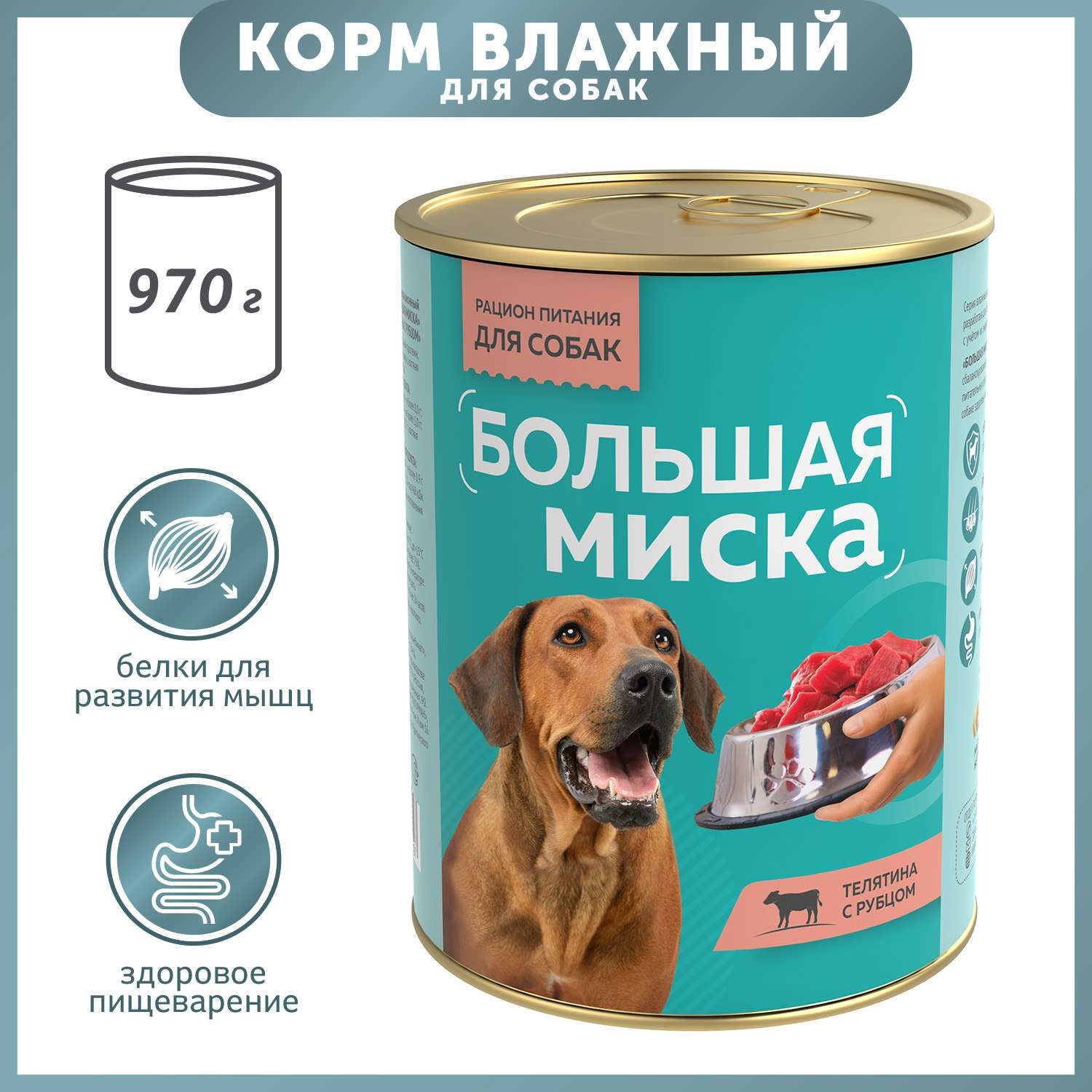 Большая Миска Купить Корм