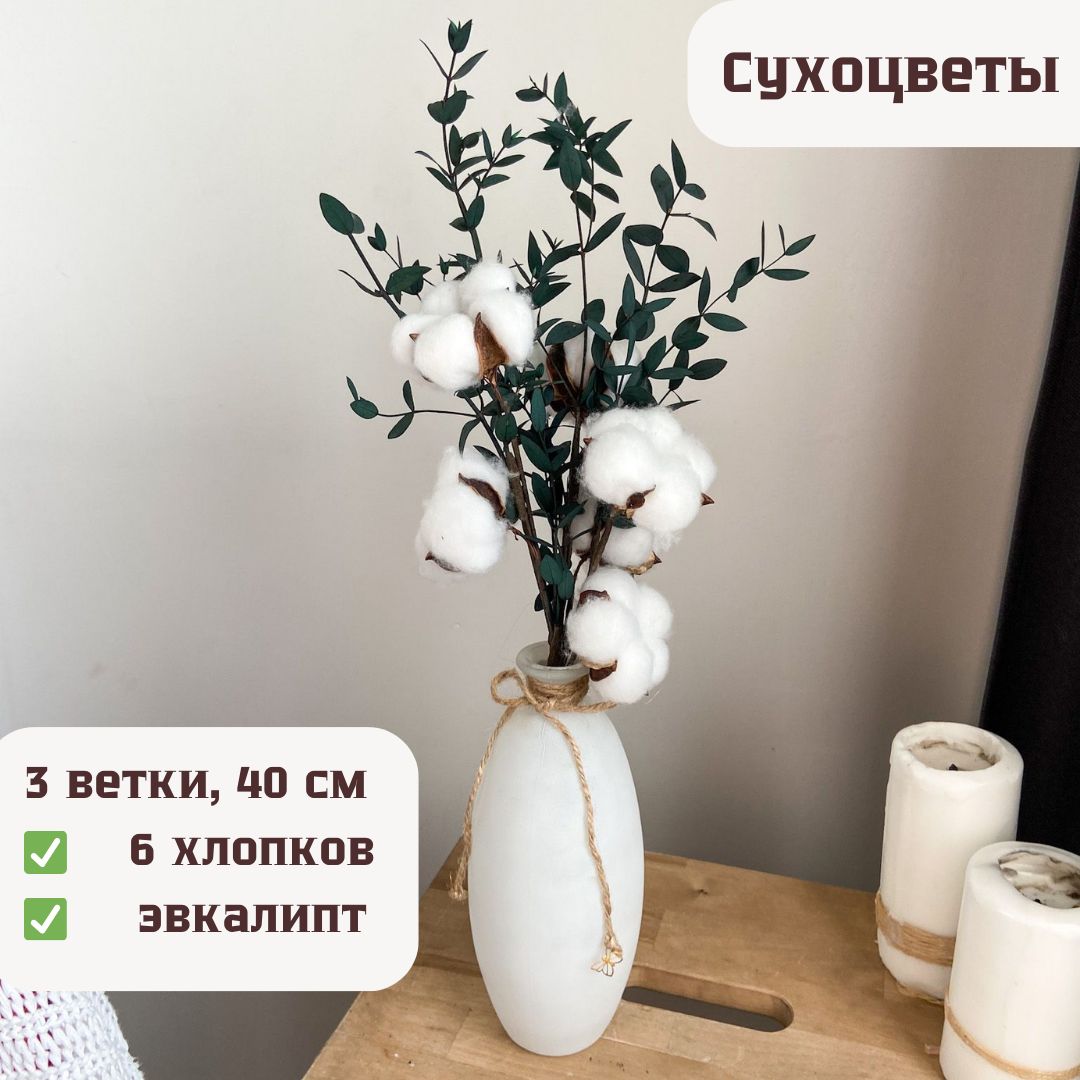 Букет из сухоцветов Хлопок, Эвкалипт, 40 см, 60 гр, 3 шт