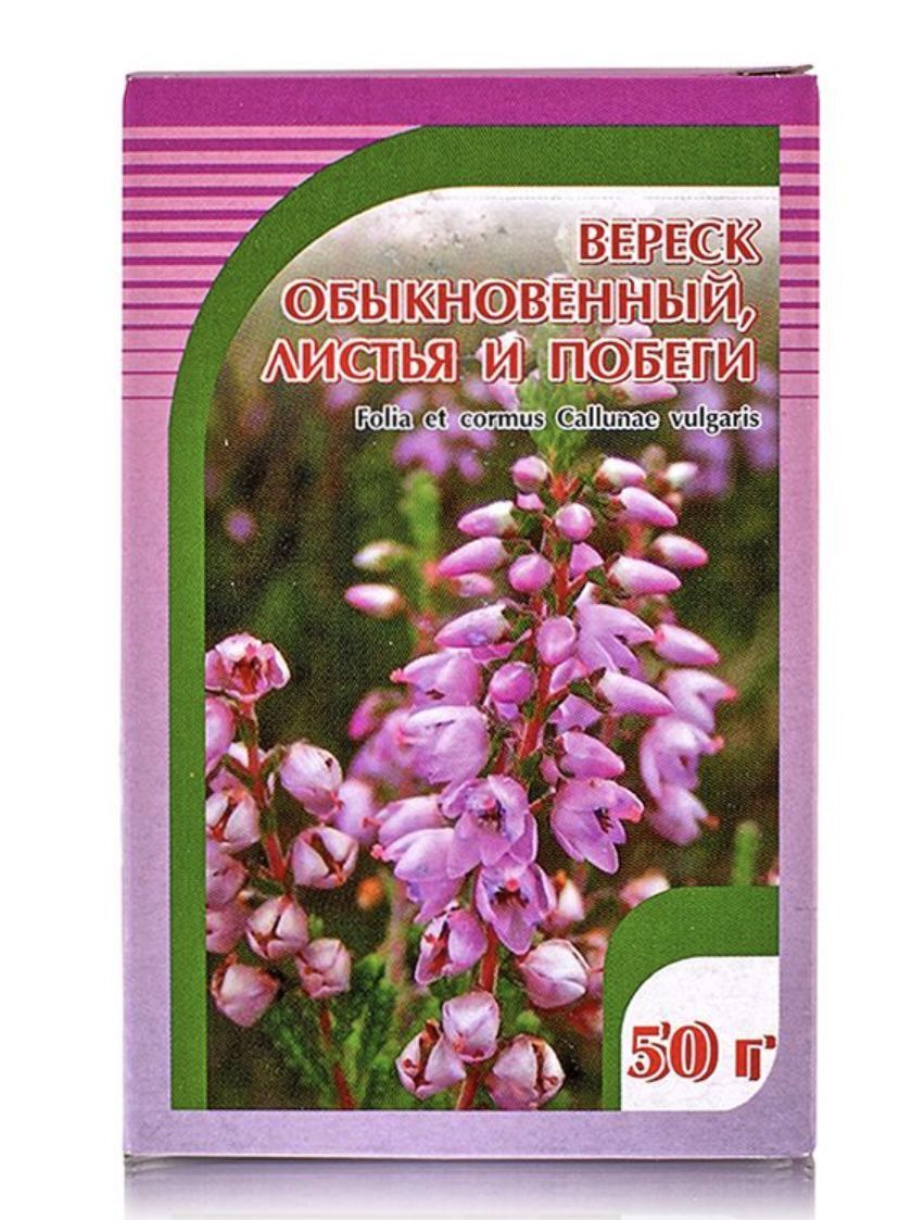Вереск семена. Вереск обыкновенный семена. вереск обыкновенный листья. вереск цветок семена.
