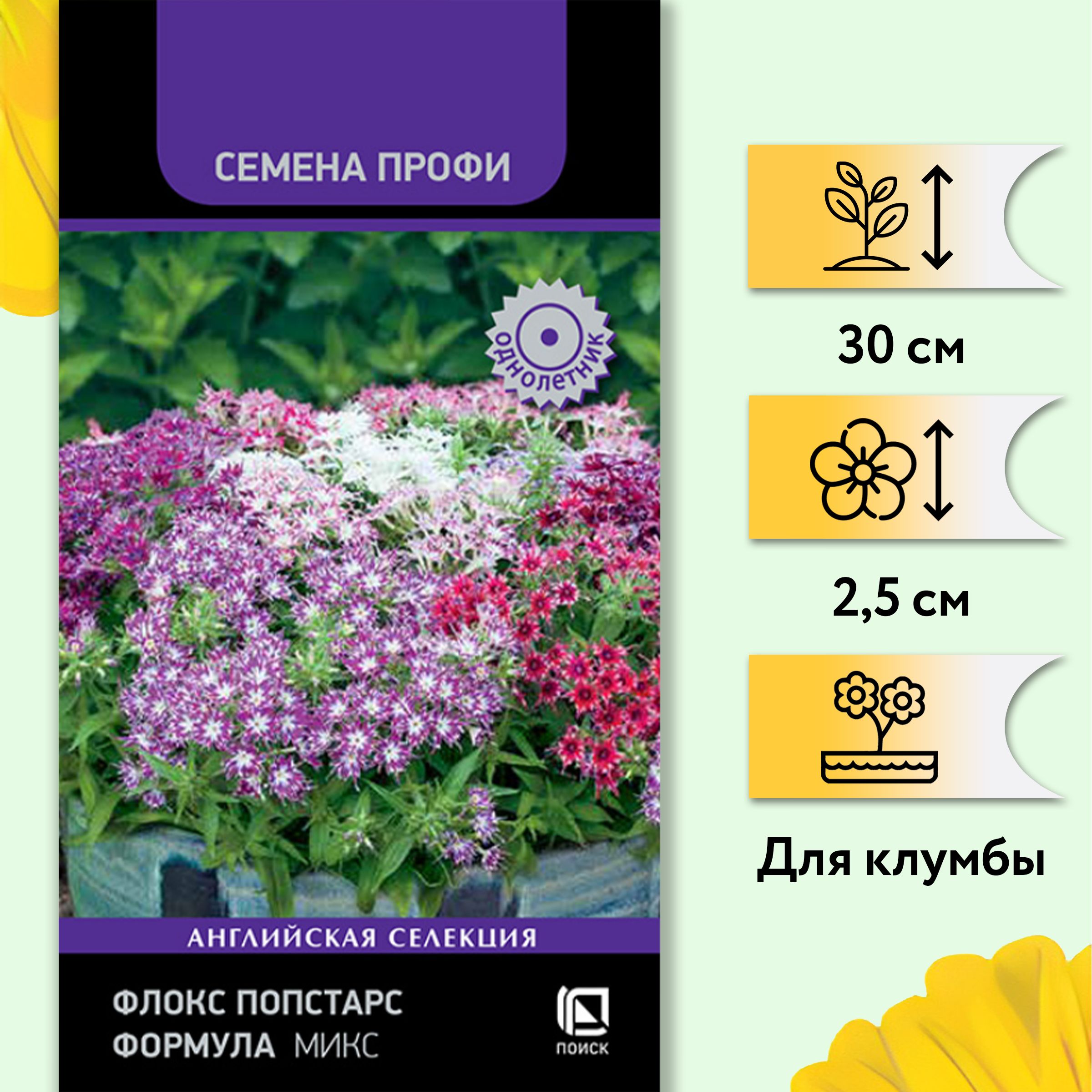 Флоксы Однолетние Купить Семена