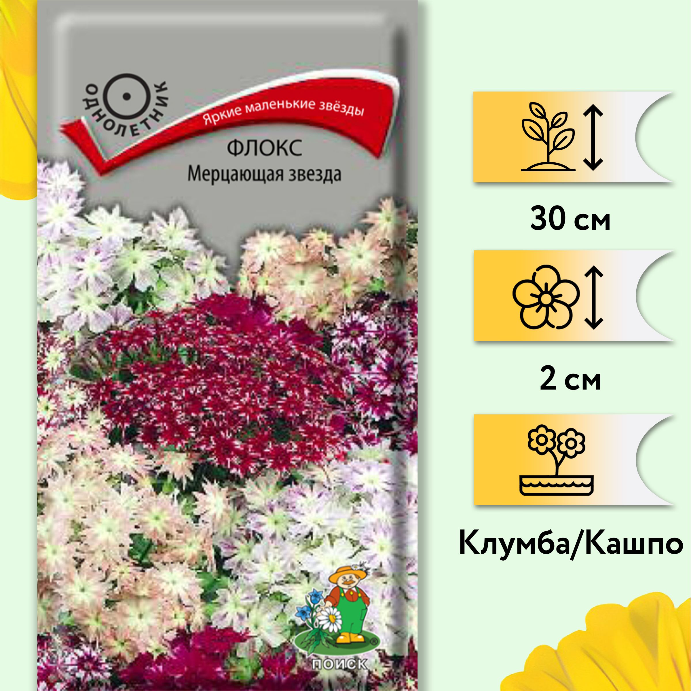 Флоксы Однолетние Купить Семена