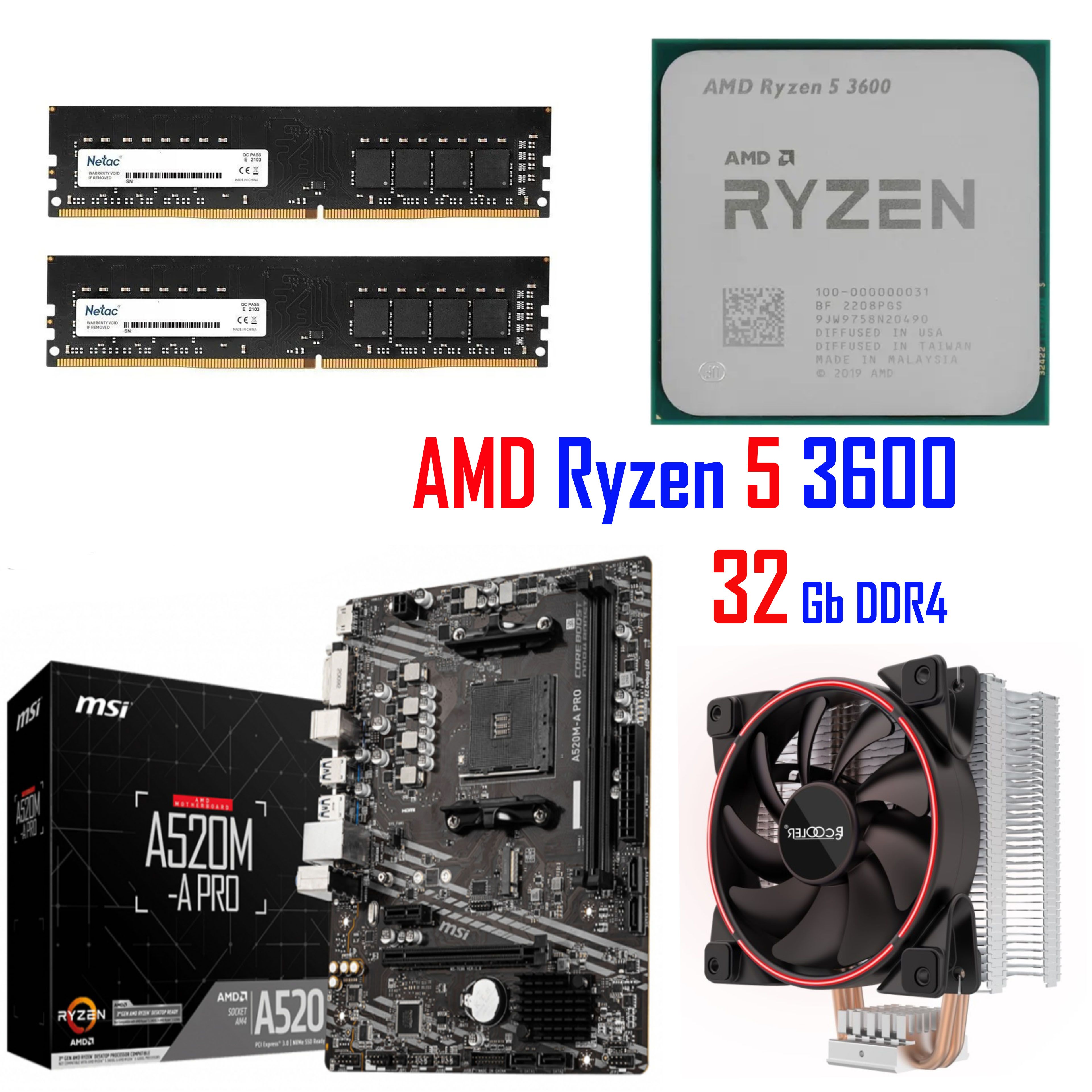 Процессор AMD Ryzen 5, BOX (с кулером), 6 яд., 3.6 ГГц купить по низкой  цене с доставкой в интернет-магазине OZON (1354044503)