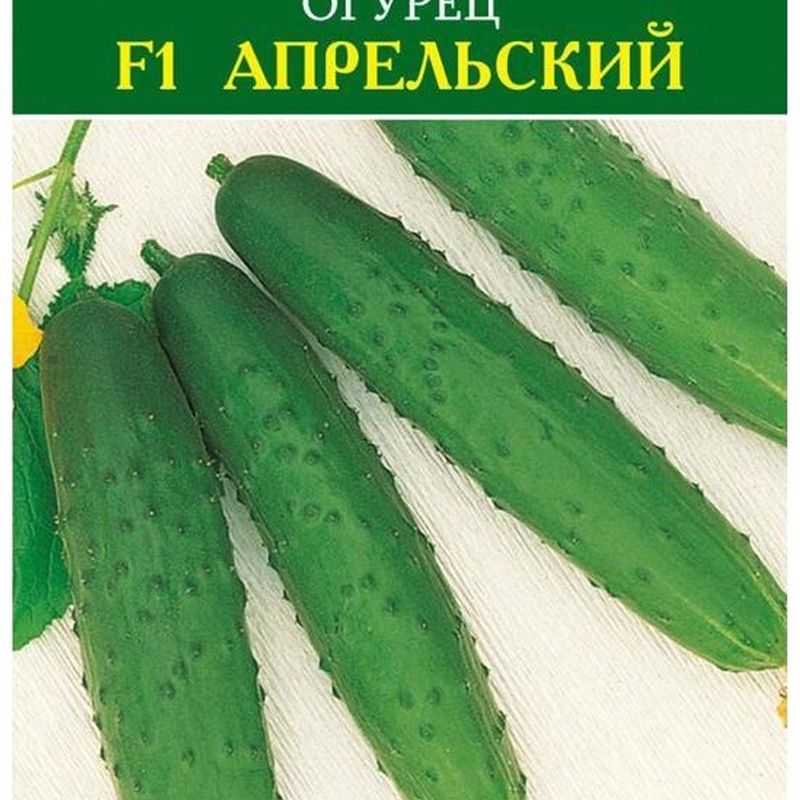 Огурцы Апрельский F1 Отзывы Фото