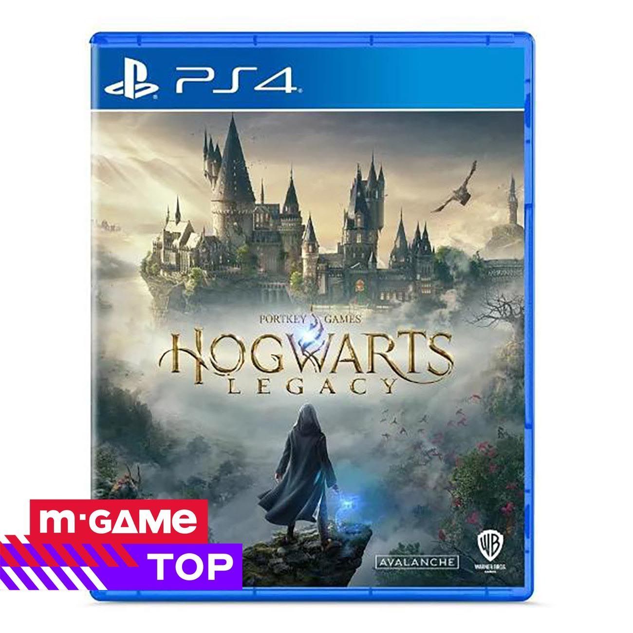 Игра Hogwarts Legacy Стандартное издание (PlayStation 4, Русские субтитры)