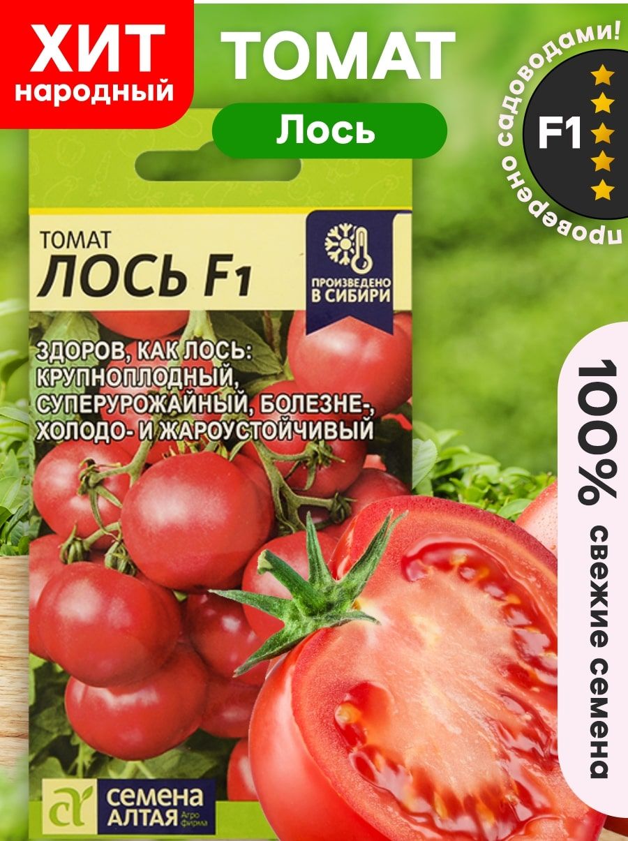 Томат Лось F1 Отзывы Фото