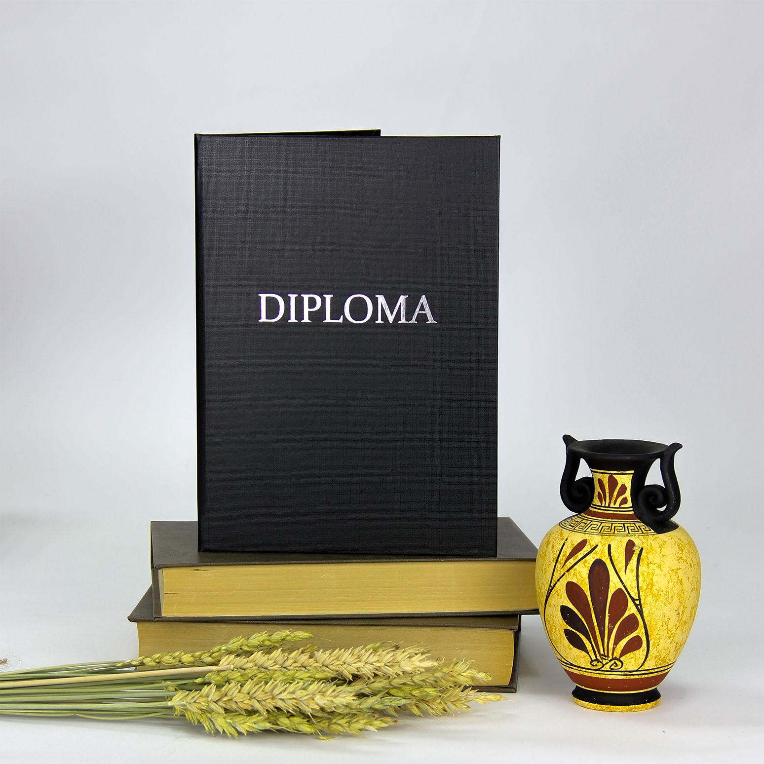 Обложка на диплом об образовании Diploma черная - купить с доставкой по  выгодным ценам в интернет-магазине OZON (1393356518)