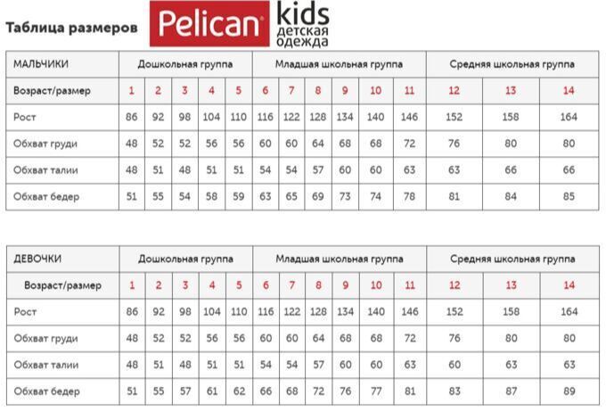 Размер трусов детских таблица Комплект трусов Pelican, 2 шт - купить с доставкой по выгодным ценам в интернет-