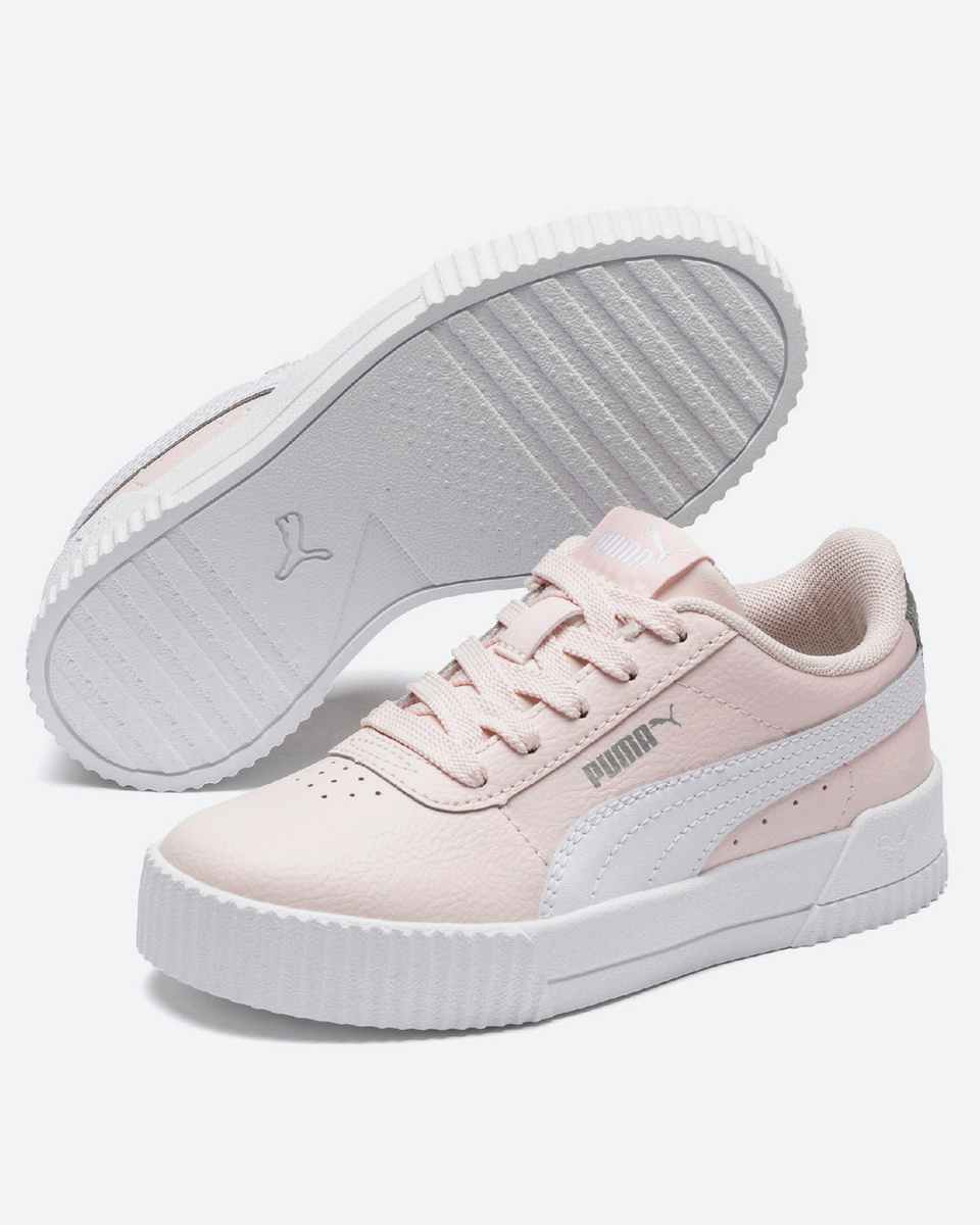puma carina l